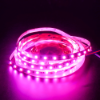 Picture of RGB SMD 5050 Led Strip DC24V 10mm 60leds/m Multi-Color Changeable Led Tape Project Use Lighting IP20