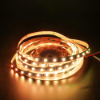 Picture of RGB SMD 5050 Led Strip DC24V 10mm 60leds/m Multi-Color Changeable Led Tape Project Use Lighting IP20